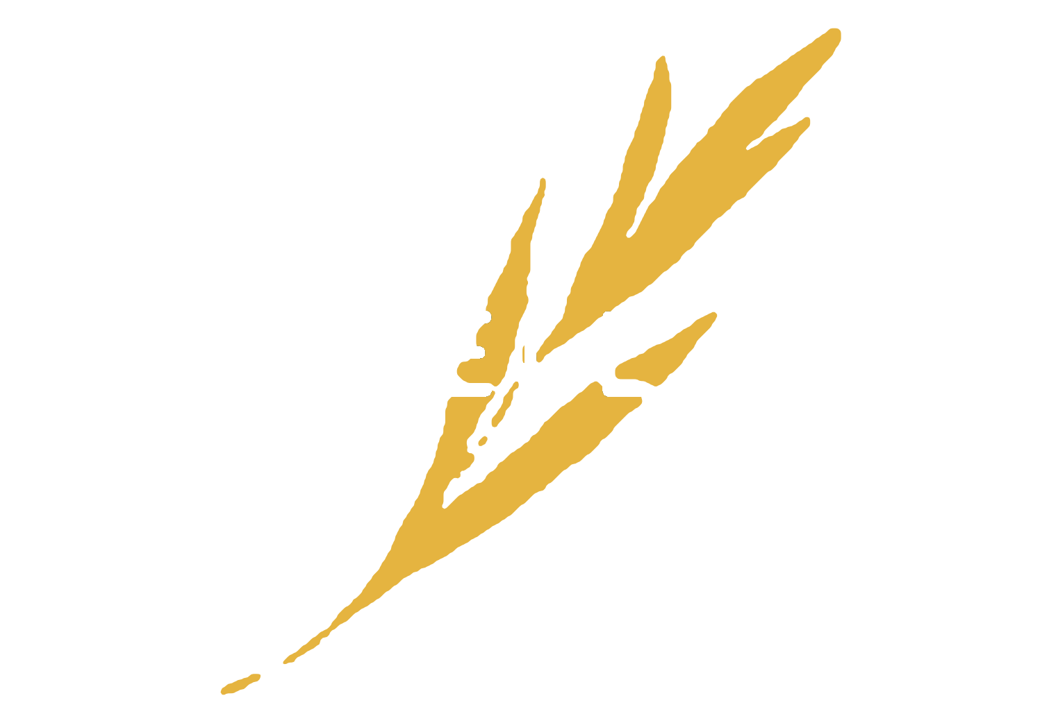 Browell Skin